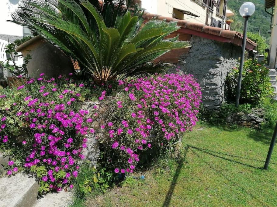 Casa Andreina Villa Salto Chiesa Kültér fotó